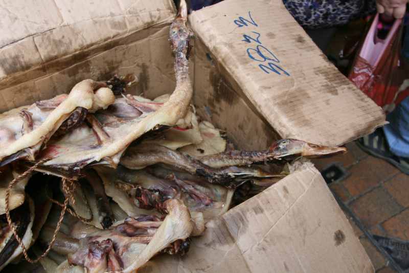 Nieuw-Zeeland 2011 - 0048